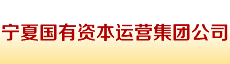 寧夏國有資本運營集團公司